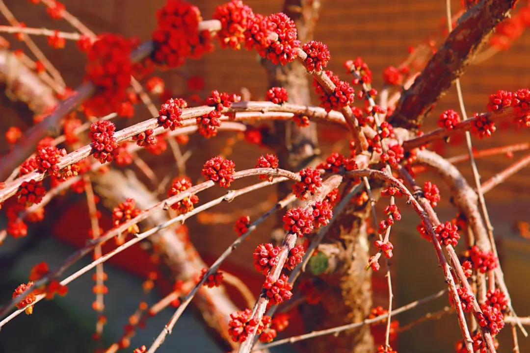 暂无图片