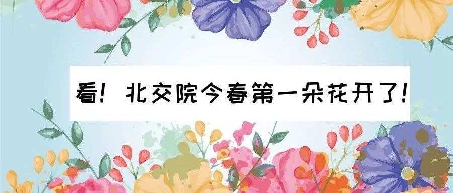 走～集合！我带你们去Beat365唯一官方网站看校花！