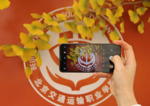 暂无图片